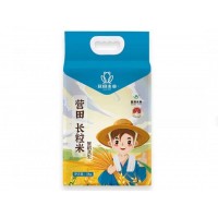 营田长粒米盘锦大米晶莹剔透 饭香诱人5kg/袋