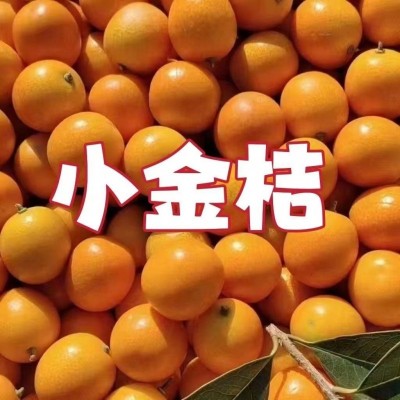 广西金桔1kg/盒装图1