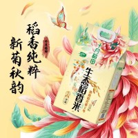 十月稻田生态稻香米粳米5kg/袋