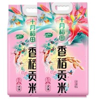 十月稻田香稻贡米5kg*2袋