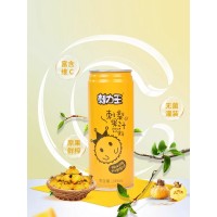 刺力王 刺梨果汁饮料贵州特产高维C无色素0脂肪网红饮品245ml罐装
