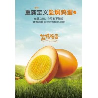 无穷鸡蛋农场盐焗卤蛋即食五香茶叶蛋解馋鹌鹑蛋鸡腿休闲食品