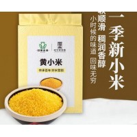 营田朝阳黄小米2.5kg/袋