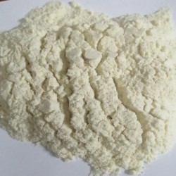 风味蛋白酶 食品中性蛋白酶 酶活力5万 增鲜香去苦味酶制剂 1kg起订 支持拿样图2