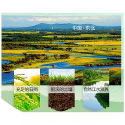 福临门东北长粒香大米 熟饭清香软韧适口5kg/袋图4