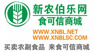 新农伯乐网