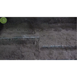食可信淳正芝麻香油1000ML/瓶 ,500ML/瓶,2500ML/瓶不等 河南特产2024年产新芝麻压榨图8