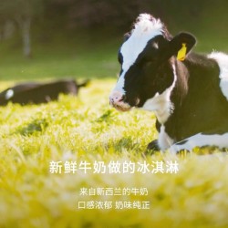 0元尝鲜！Oravida兰维乐新西兰进口牛乳冰淇淋香草味 120ML*1罐图3