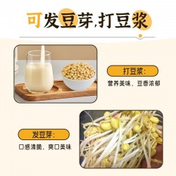 吾爱吾谷东北黄豆大豆500g*1 农家自种打豆浆专用黄豆发豆芽新货图4