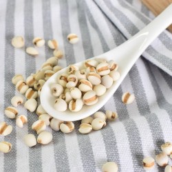 姚朵朵有机薏仁米400g小薏米五谷杂粮苡仁粗粮粥米早餐粥原料图4