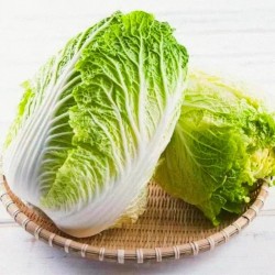 批发玉田大白菜 10斤包,20斤包,30斤包任选, 北京同城免费配送图4