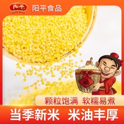 阳平黄小米5斤当季新米粮食农家食用糯五谷杂粮粥月子粟米脂500g