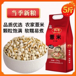 阳平薏米5斤 新鲜货薏仁米薏苡仁米五谷杂粮粗粮油无赤小豆红豆茶