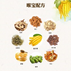 济公喉宝90g*4 佛手果柑零食 老香黄蜜饯果脯水果干 潮汕特产老香橼图4