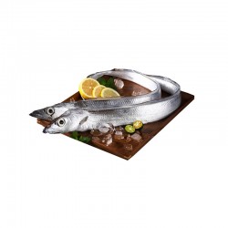 拾鲜生舟山海钓带鱼3条 礼品 源头直发 包邮 500-600g/条图5