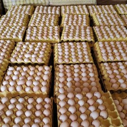 批发整筐混码粉皮鸡蛋净重40斤140元 混码净重44斤152元 养鸡场直供 北京地区免费配送图4