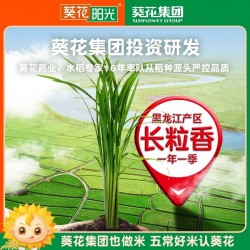 葵花阳光黑龙江东北大米长粒香大米5kg图3