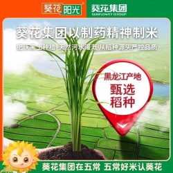 葵花阳光珍品稻香米5kg/袋 五常好米 小程序下单粉丝优惠价50元/袋图3
