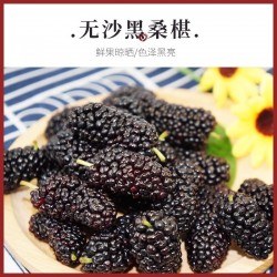 桑裕 桑椹干红低度纯桑椹发酵五钻果酒红酒750ml*1图4