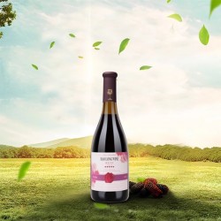 桑裕 桑椹干红低度纯桑椹发酵五钻果酒红酒750ml*1图2