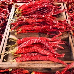 贵三红贵州特产二荆条干辣椒1斤餐饮海椒微辣特香包邮图2