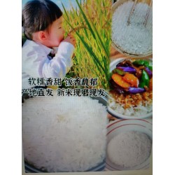粮店长东北大米五常稻香2号 25kg 餐饮首选 10袋以上135元/袋 北京同城免费配送图2