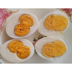 食可信红皮双黄新鲜鸡蛋 营养充足 北京同城订单金额满30元以上免费配送图8
