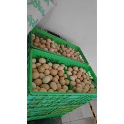 批发整筐混码粉皮鸡蛋净重40斤140元 混码净重44斤152元 养鸡场直供 北京地区免费配送图5
