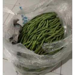 批发优质云南蛇豆王豆角 超市专供 大于20斤6.3/斤 大于30斤6.2/斤 北京同城免费配送图4
