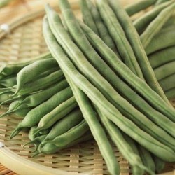 零售优质精品直条蛇豆王 普通包装豆王 北京同城订单金额满30元以上免费配送图3